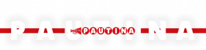 Логотип - Сайт для медиа группы «Паутина»